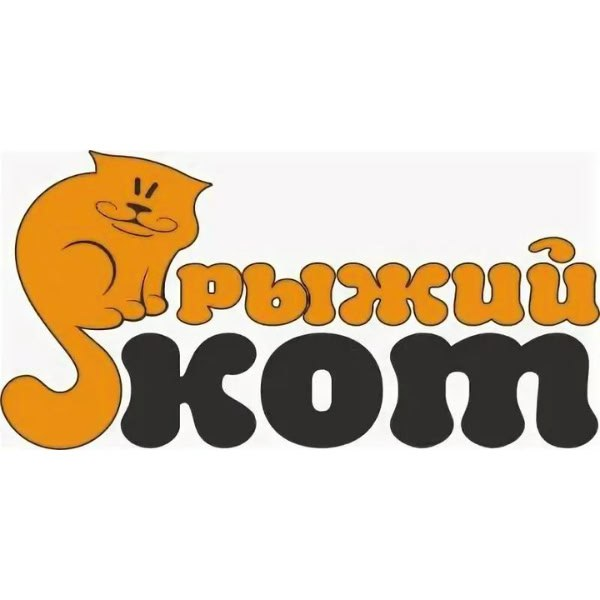Рыжий кот
