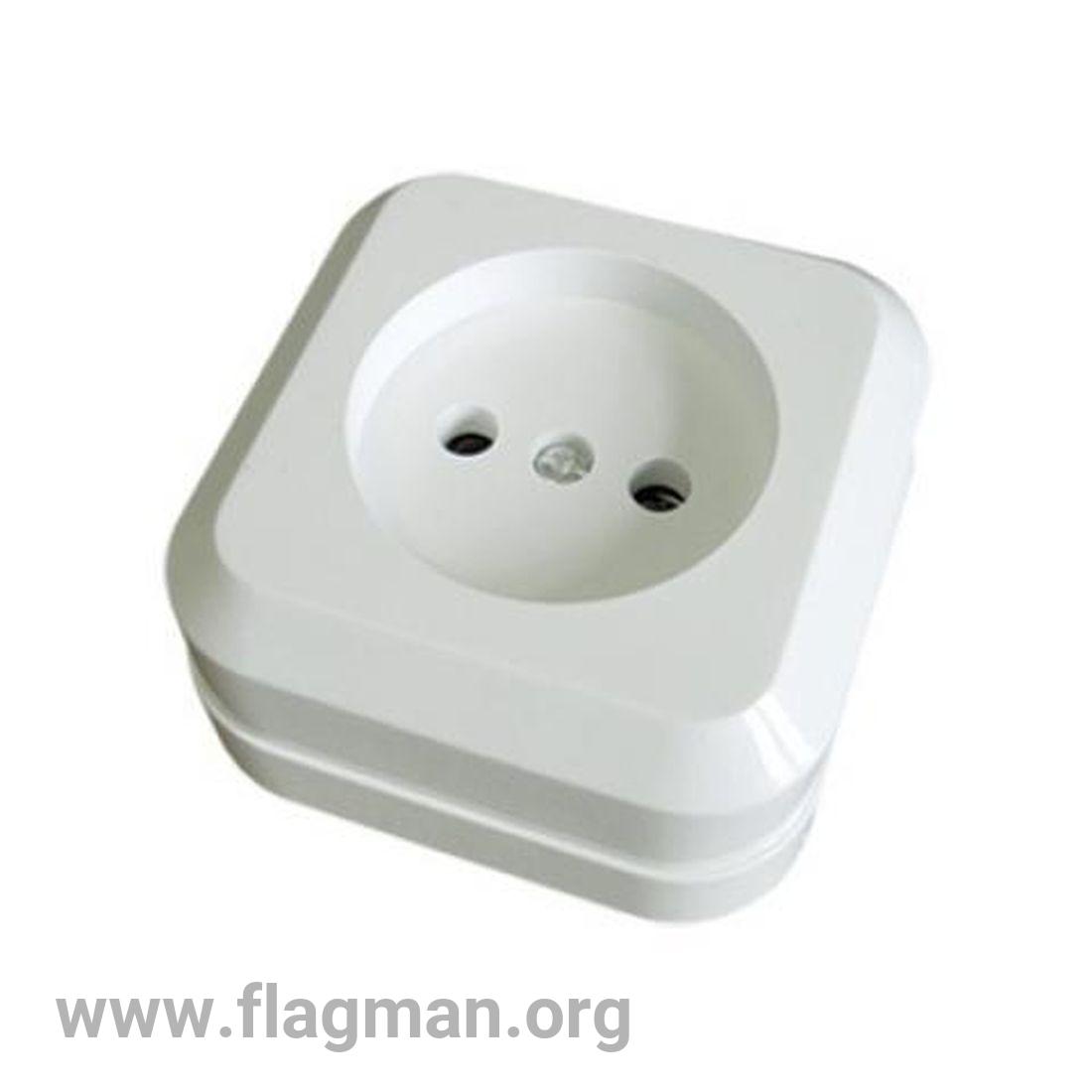SQ1801-0013 Розетка 2П открытой установки IP20 10А, белая 'Ладога' TDM