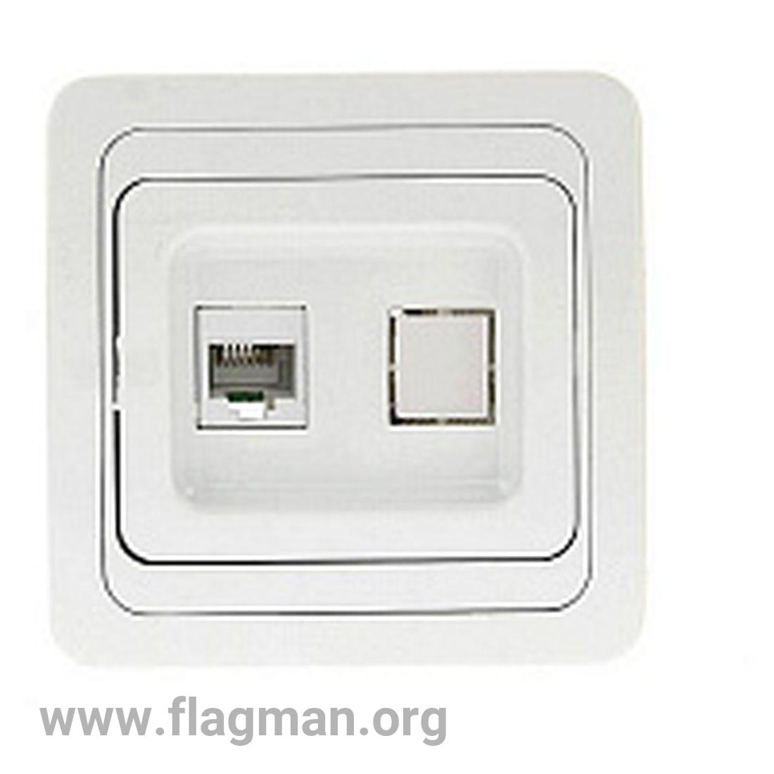 SQ1809-0003 Компьютерная розетка 1xRJ-45 TDM