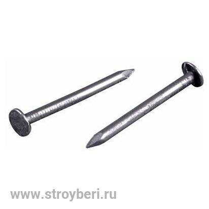 Гвозди толевые цинк 2,0/20 (100г)