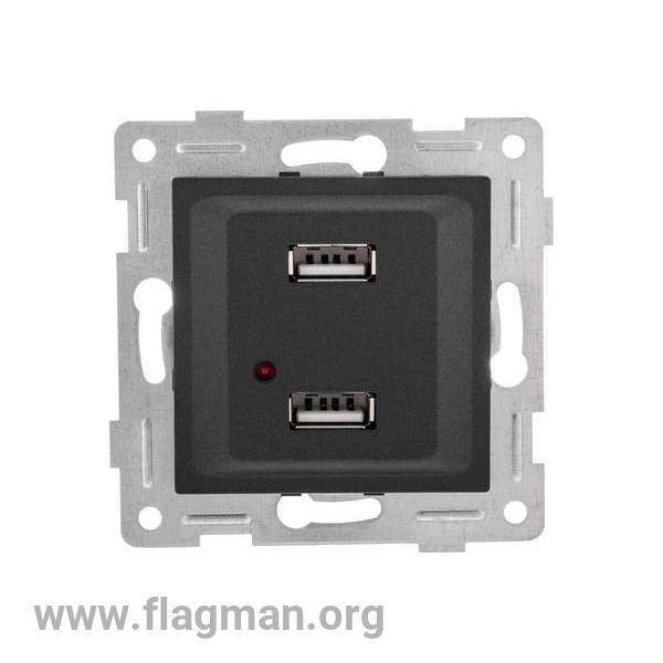 С11USB2-010 GUSI Ugra МЕХАНИЗМ розетки USB,  двойной,  скрытая  установка. Цвет  графит.