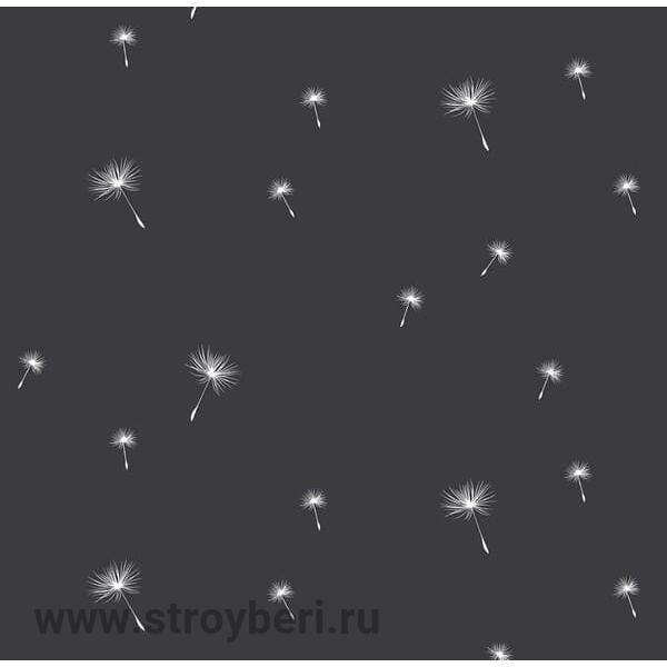 283889 обои Victoria Stenova / Marta мотив черный