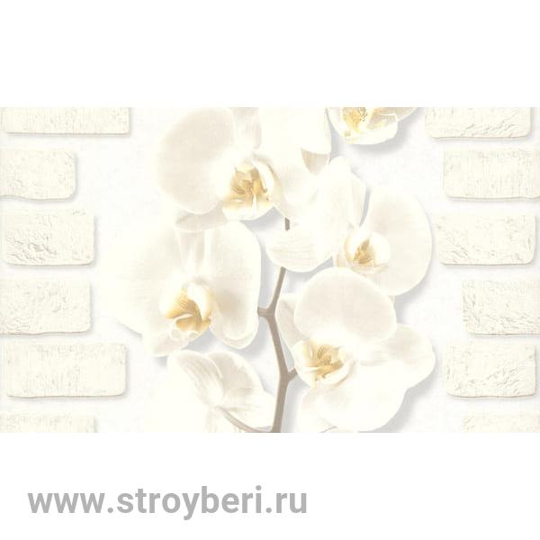 10107-11 (12) Обои 10 ВВ БО Аспект