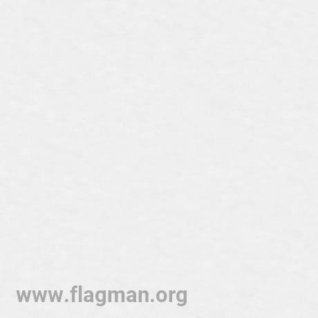 60635-03 Spectral Color (6) (Erismann) РОССИЯ \Spectral Color 10m*1,06m