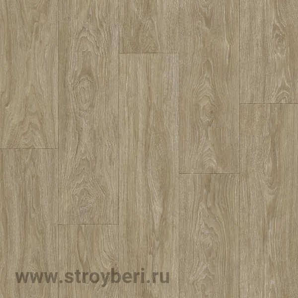 Линолеум Таркетт Клаб Максимус 2 3м