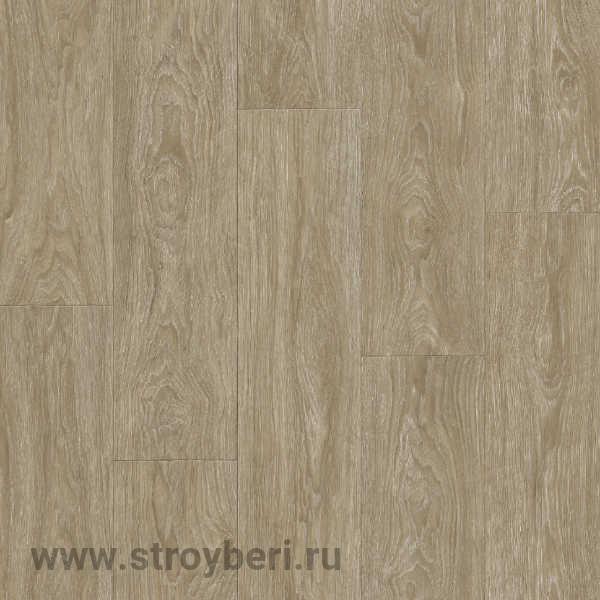 Линолеум Таркетт Клаб Максимус 2 4м