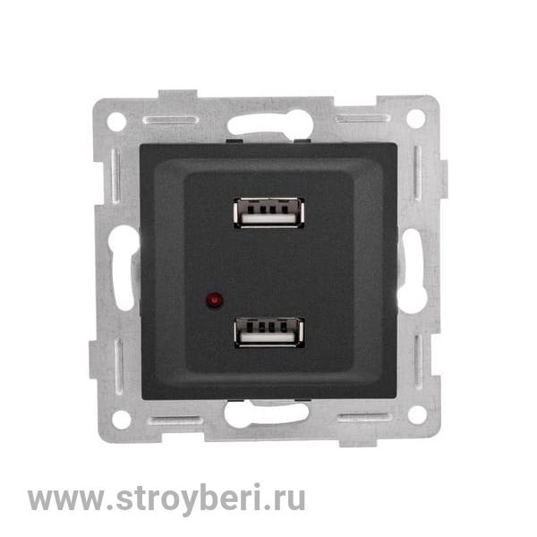 С11USB2-010 GUSI Ugra МЕХАНИЗМ розетки USB,  двойной,  скрытая  установка. Цвет  графит.
